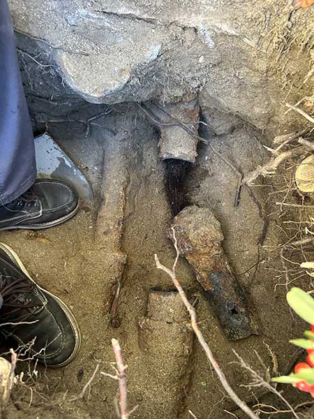 Sewer Ingrown Roots Removal Services